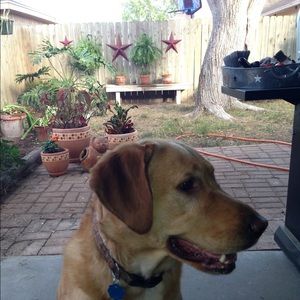 Meet your Posher, Melisa